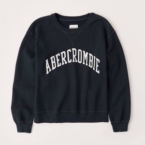Abercrombie Logo Navy Sweater